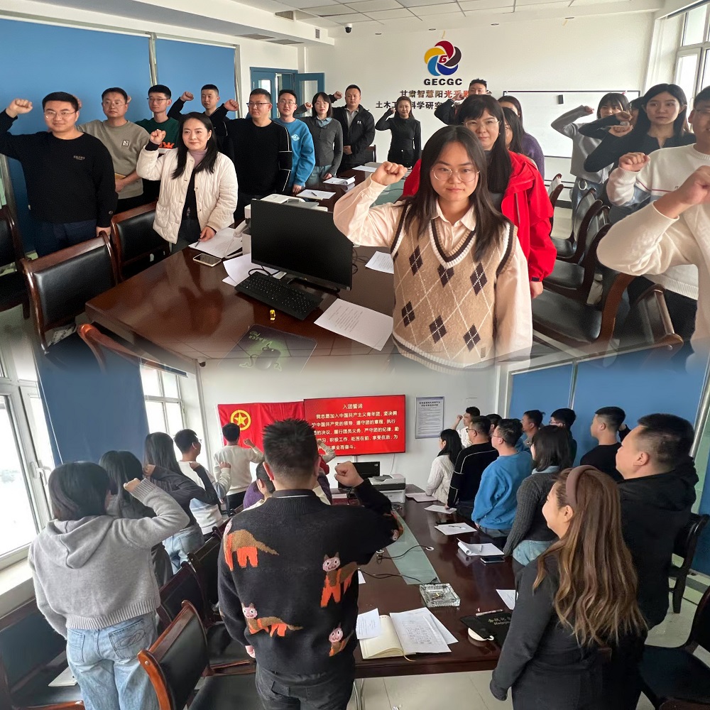 青春心向黨 建功新時代│公司團(tuán)委召開團(tuán)員和青年主題教育專題組織生活會